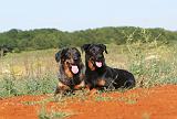 BEAUCERON 304